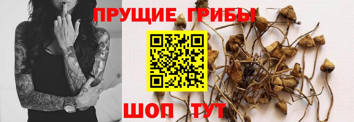 Луховицы  Псилоцибиновые грибы Magic Shrooms  Вход с VPN 